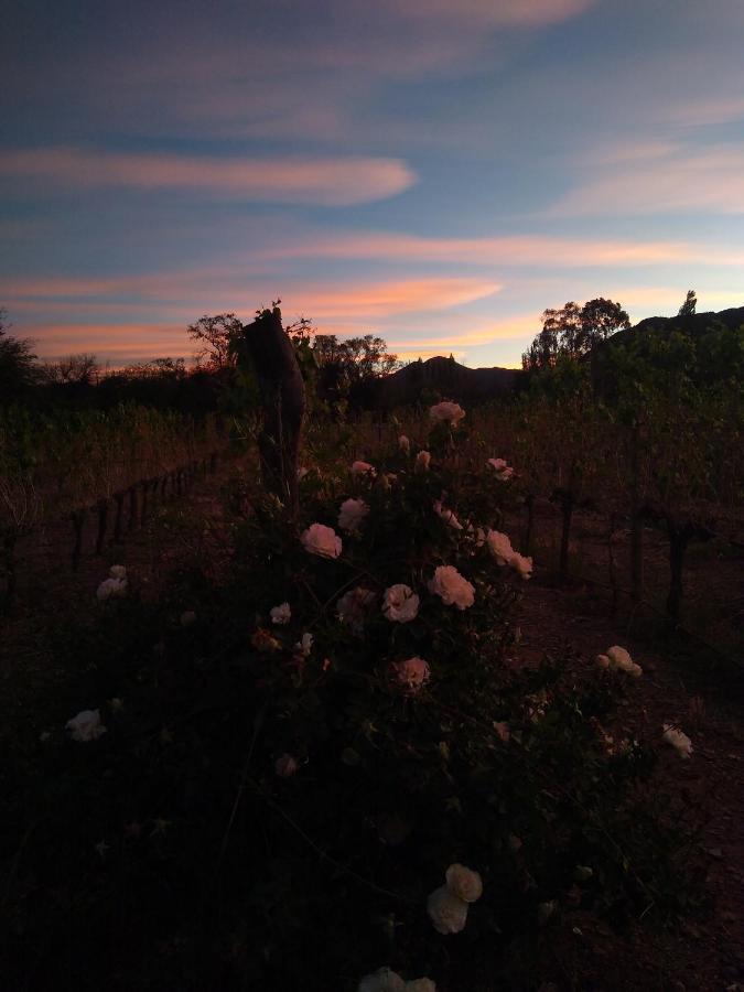 Hospedaje Finca La Encantada Seclantas Luaran gambar