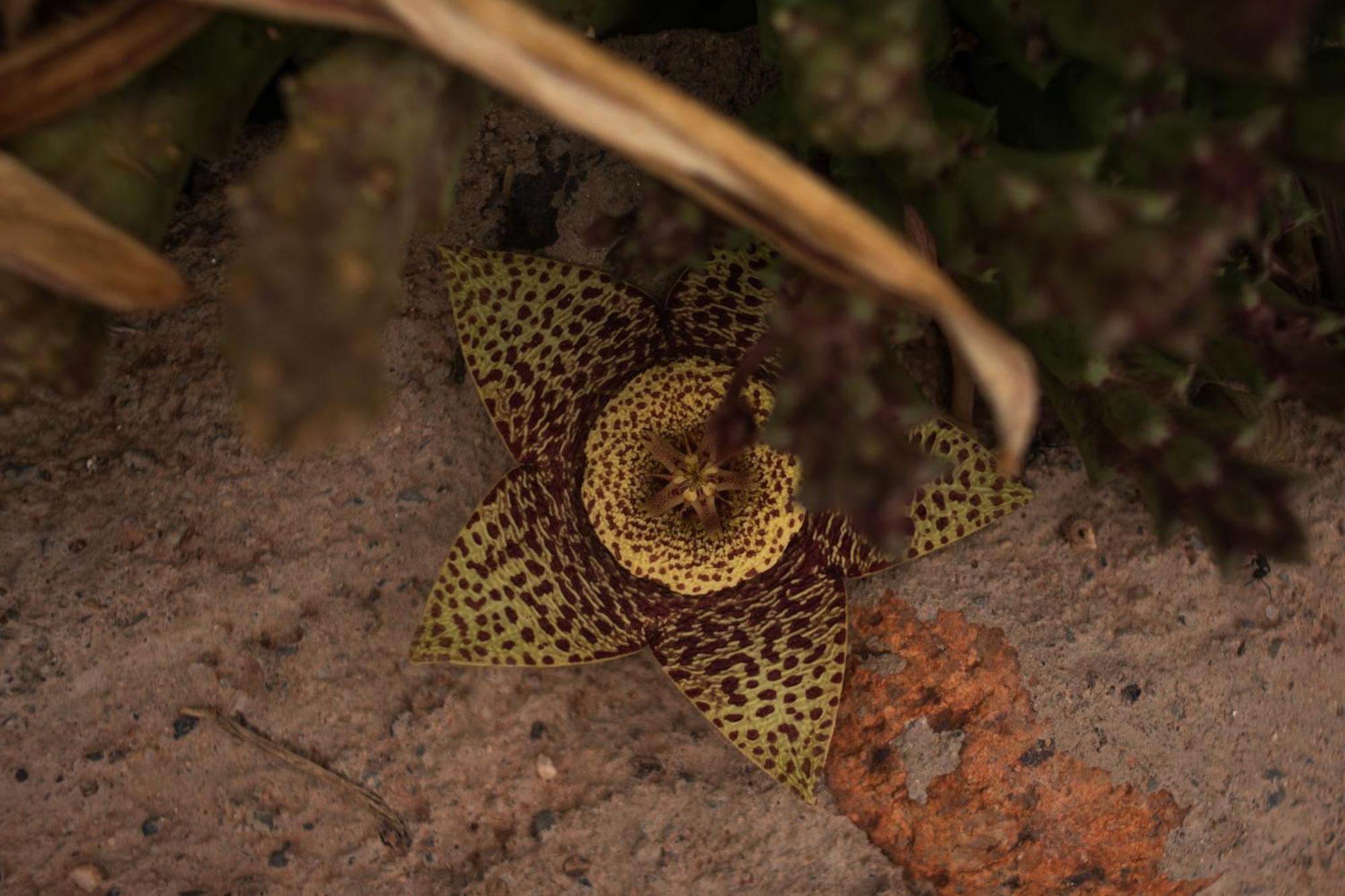 Hospedaje Finca La Encantada Seclantas Luaran gambar
