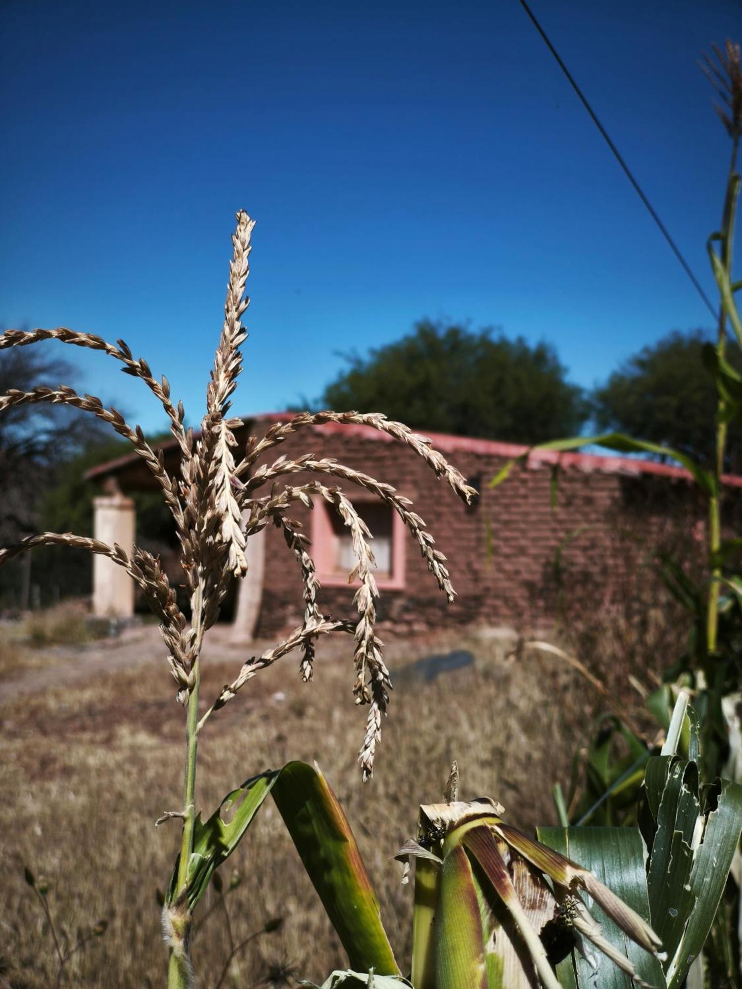 Hospedaje Finca La Encantada Seclantas Luaran gambar