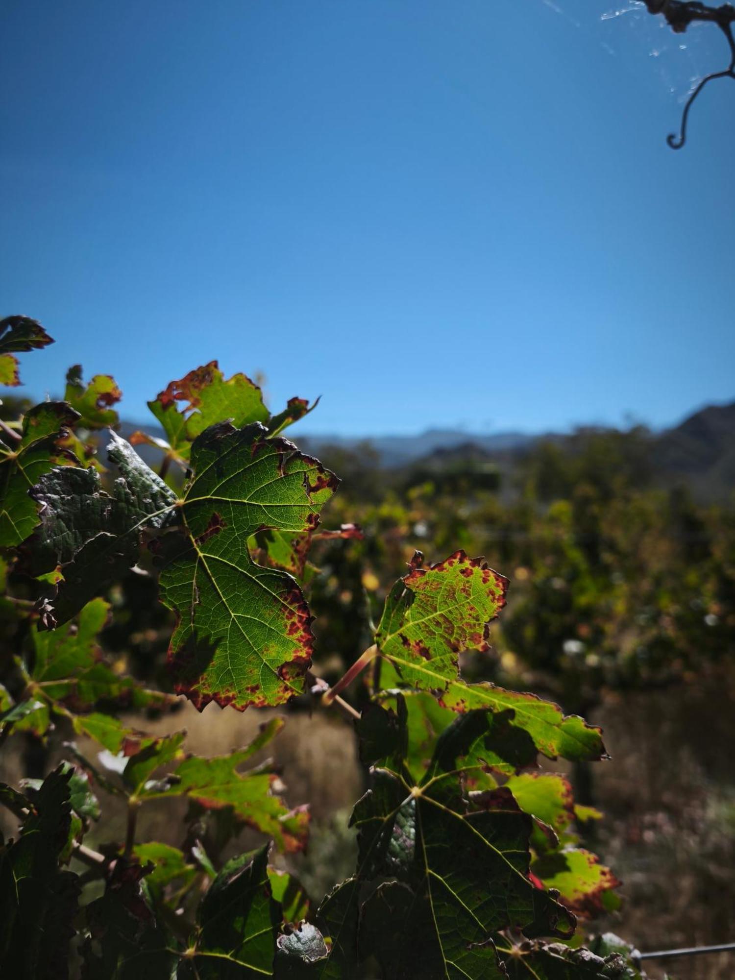 Hospedaje Finca La Encantada Seclantas Luaran gambar